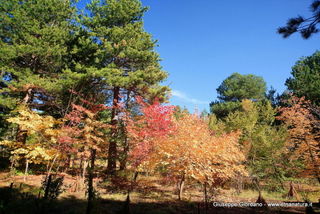 Monte_Nero_degli_Zappini - 08-11-2012 13-33-27.JPG